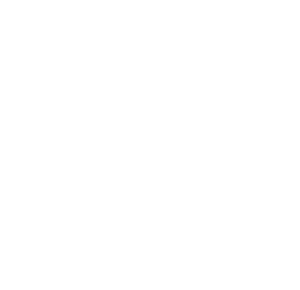 AI Chatbot Development Company